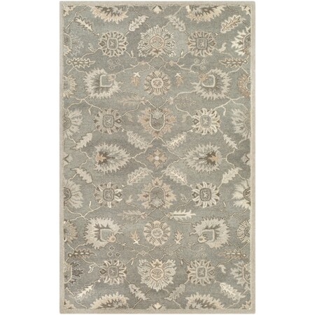 Surya Caesar - 2' X 4' Hearth Area Rug CAE1199-24HM